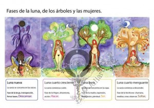 fases de la luna los árboles y las mujeres